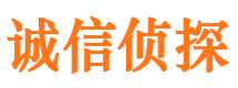 颍东侦探公司